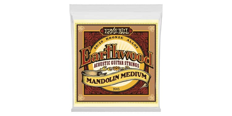 Ernie ball 2065 earthwood medium cuerdas para mandolina 10-36