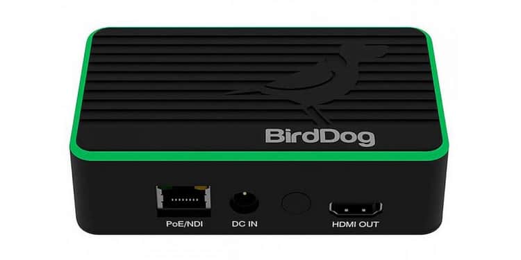 Birddog bdflexdec decodificador ndi completo 4k