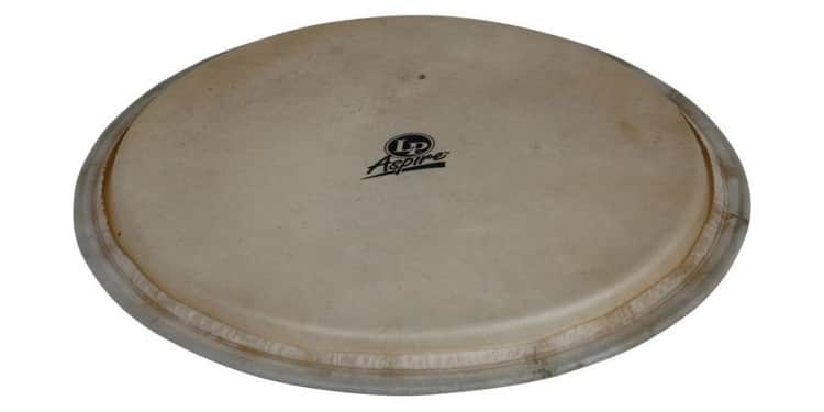 Latin percussion parche para djembe aspire, 12,5, piel de cabra